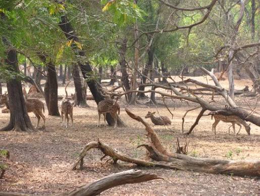 Ballavpur Wildlife Sanctuary